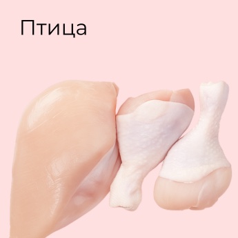 Птица